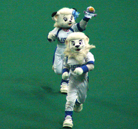 ���̎ʐ^��